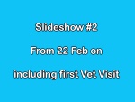 02-feb21.jpg