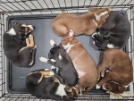 02-feb25-vet-m.jpg